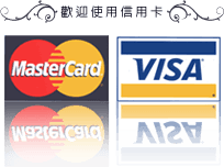 visa_and_mastercard